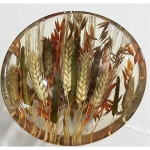 Riccardo Marzi 5” Resin Bowl with Wheat Made In Italy Firenze